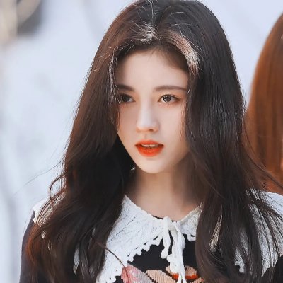 双生赤狐 在线观看