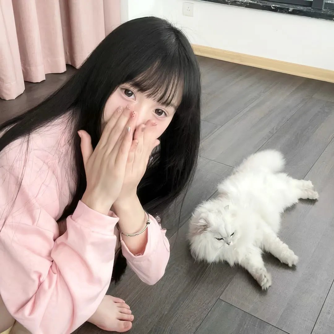 纸上的天空 在线观看